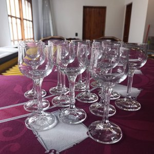 Copas de Cristal de Bohemia Modelo Diana para Grappa o Licor - Altura 13.5 cm - imagen 2