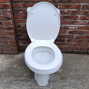 Inodoro Blanco con Cisterna Mochila en Funcionamiento - imagen 2
