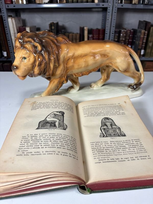 Libro de Medicina por Louis Kuhne en 1894 - imagen 3