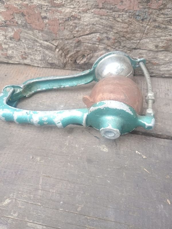 Antiguo Tomé de Oveja para Exprimir Cítricos - imagen 1