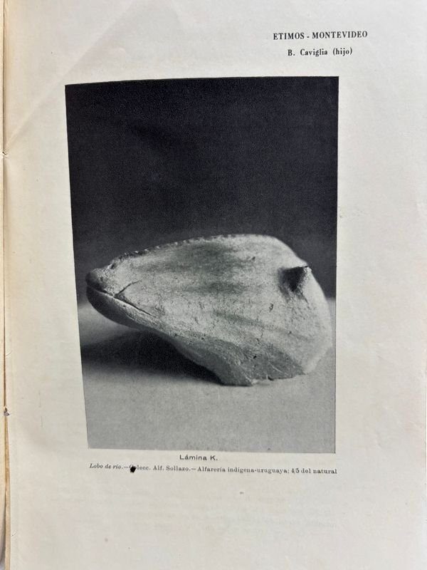 Buenaventura caviglia(hijo) ETIMOS MONTEVIDEO - montevideo 1932: Un libro antiguo con una mano - imagen 6