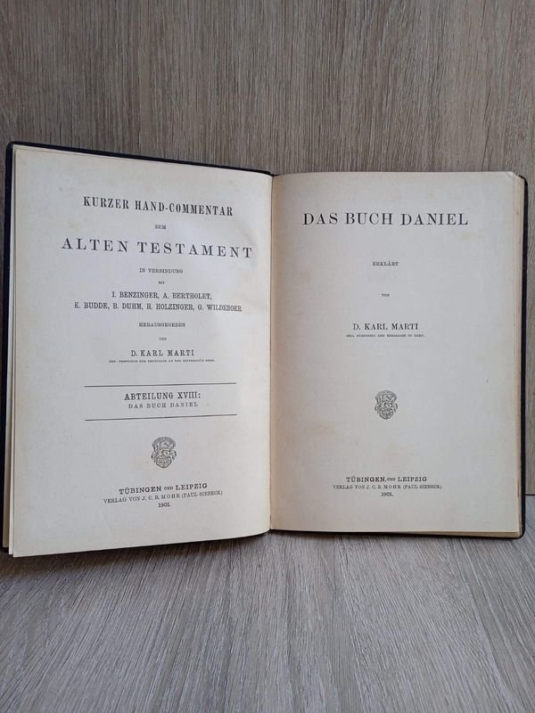 Libro antiguo en alemán, Comentario sobre el libro de Daniel Antiguo Testamento 1901 D Karl Marti - imagen 2