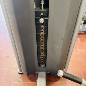 Prensa de Piernas Paramount Profesional Gimnasio - imagen 3