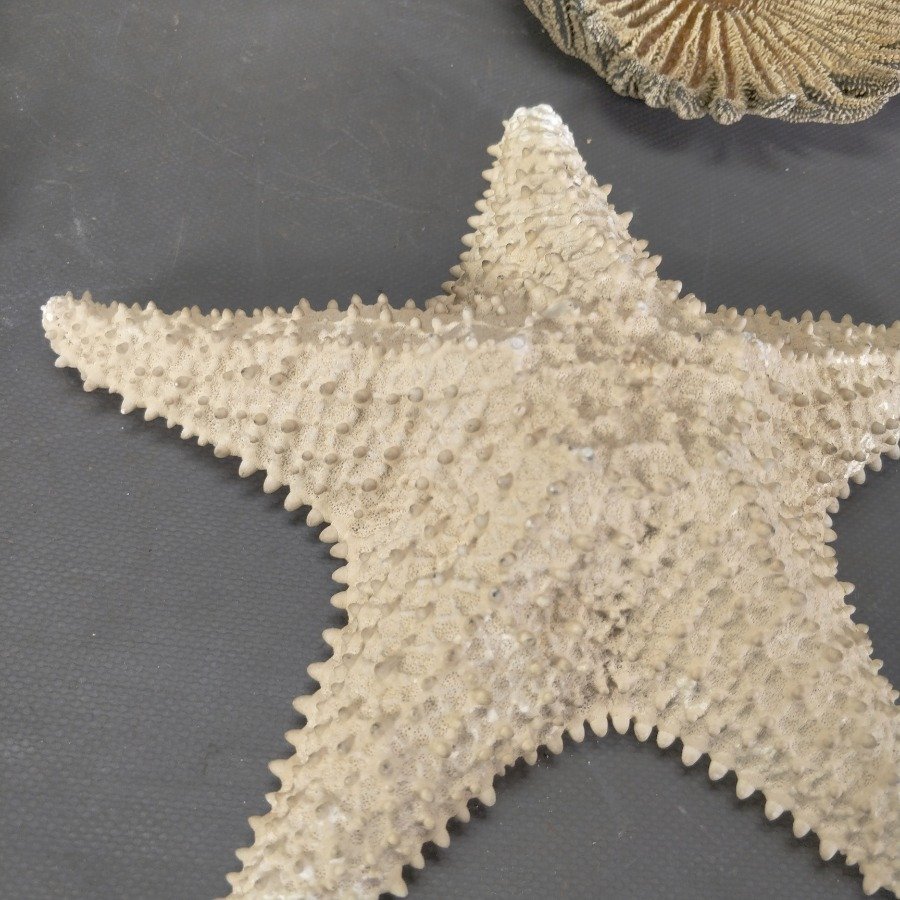 Item 15836 - Image 3