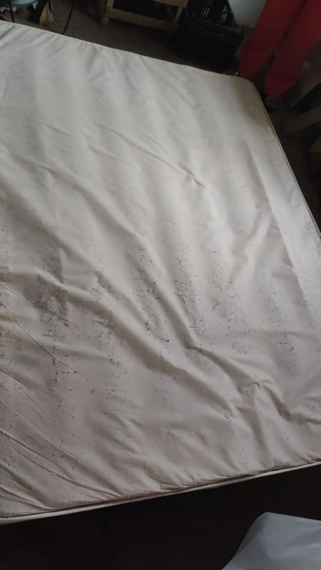 Item 880491 - Image 1