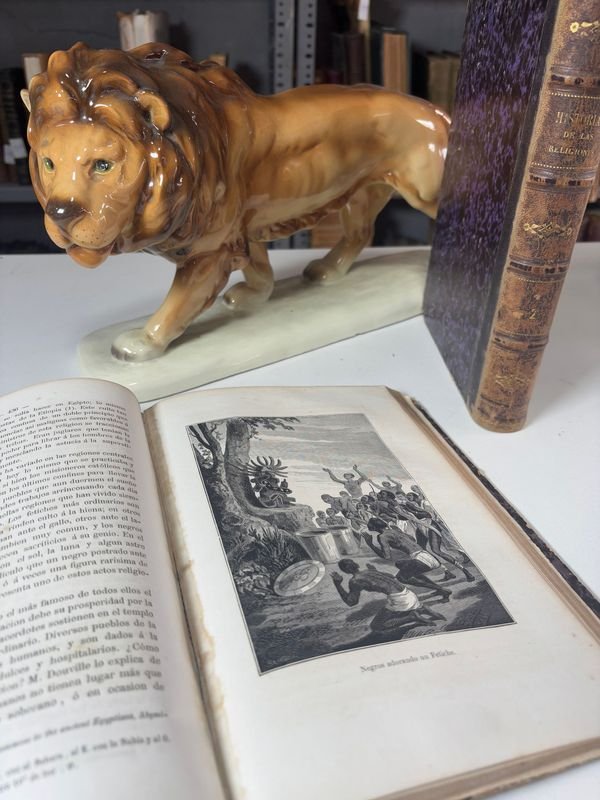 Item 885480 - Image 3