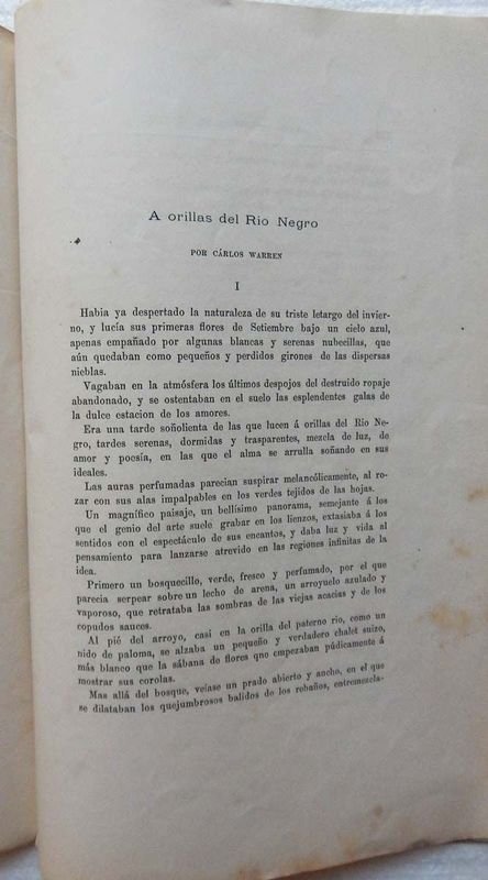 Revista Anales Del Ateneo Del Uruguay, publicación mensual de 1884 - imagen 4