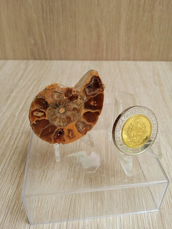 Item 884278 - Image 0