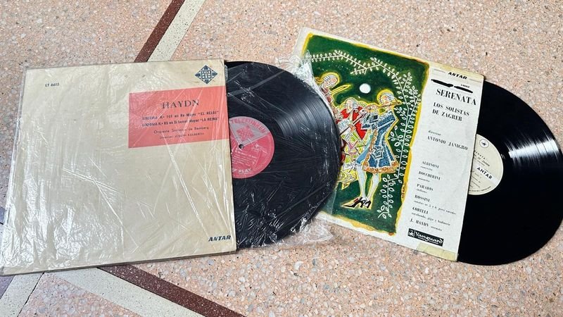 Lote siguiente: Vinilos de vinilo para coleccionistas