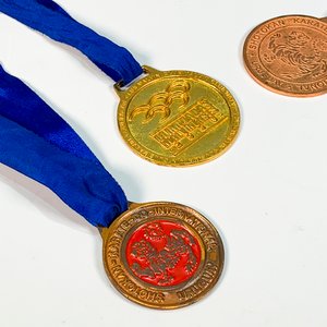 Lote de Nueve Medallas Doradas y Plateadas de Colección - imagen 2