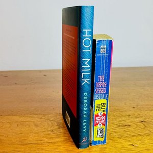 Lote de Libros: "The Dispossessed" de Ursula K. Le Guin y "Hot Milk" de Deborah Levy - imagen 3