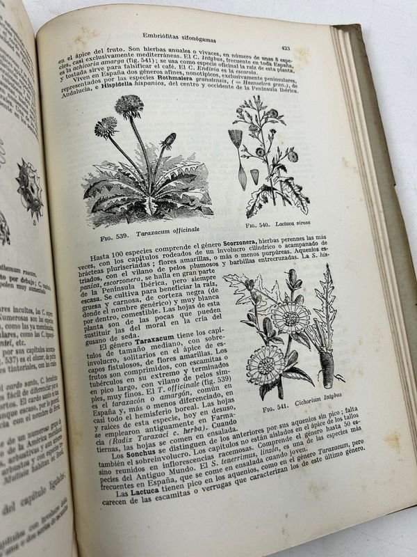Libros de Botánica: Curso General Aplicado y Flora de la Patria - imagen 14
