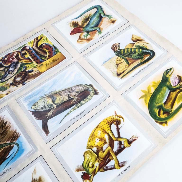 Item 2097718 - Image 1