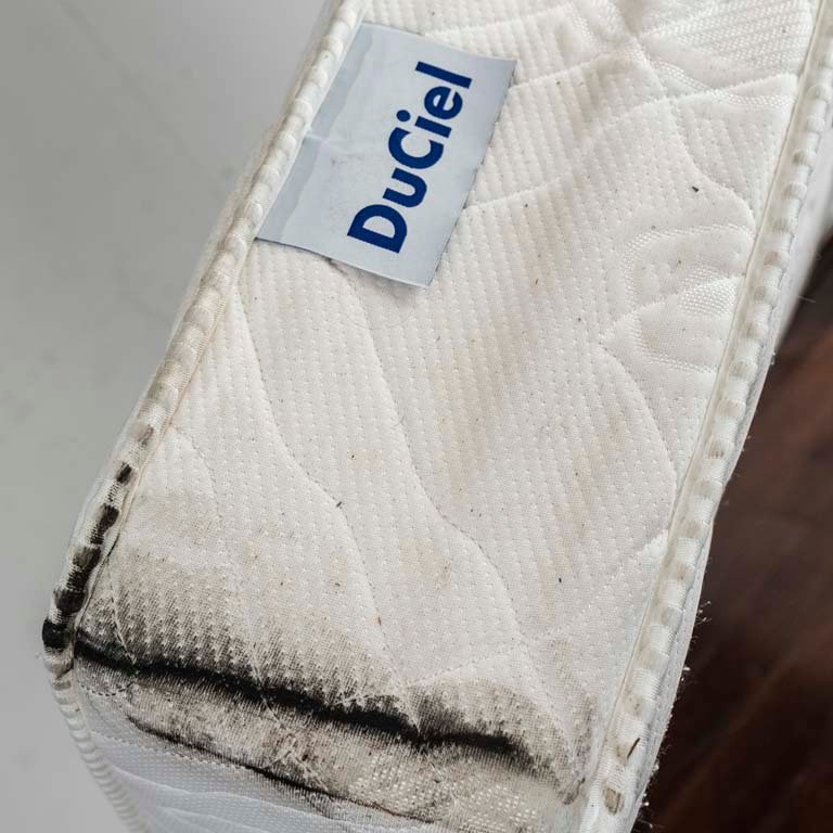 Item 2113955 - Image 1