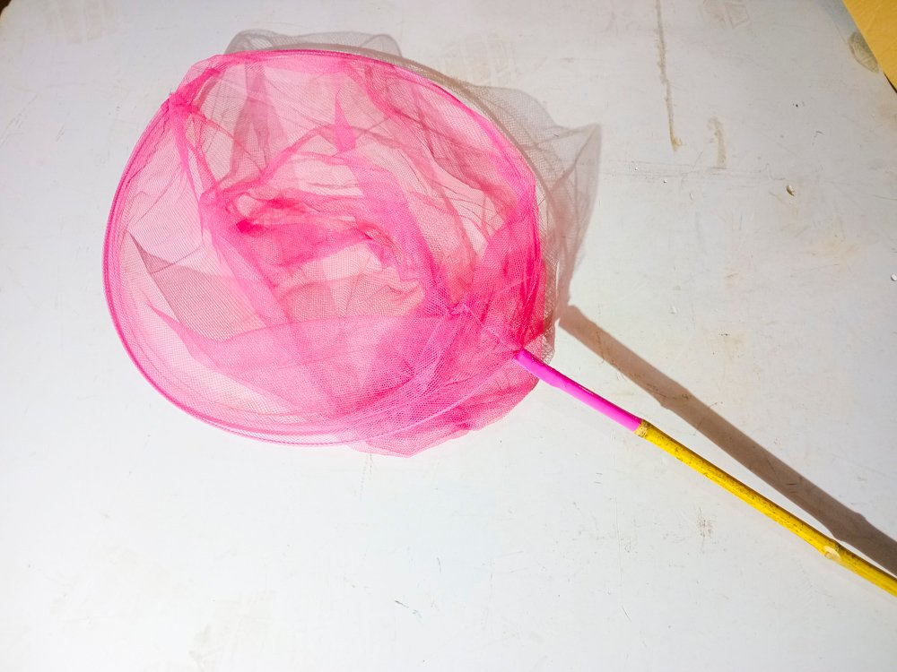 Item 489663 - Image 0