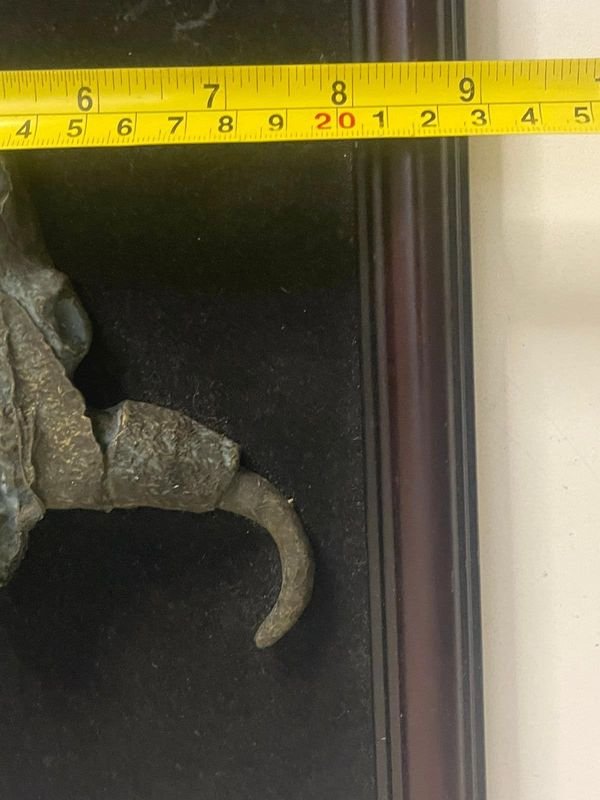 Item 853232 - Image 3