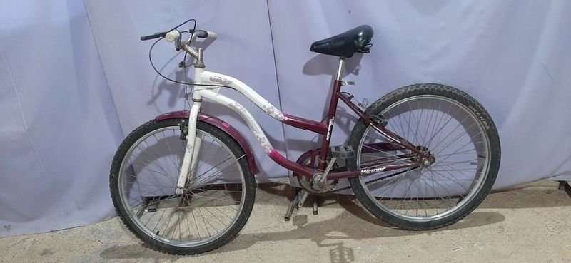 Lote anterior: Bicicleta de Ciclismo Jazz 20 Pulgadas Violeta y Blanca