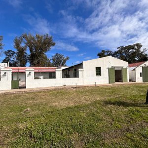 Lote de Campo con Galpones y Casa Principal - imagen 13
