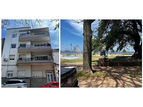 Item 31686 - Image 0