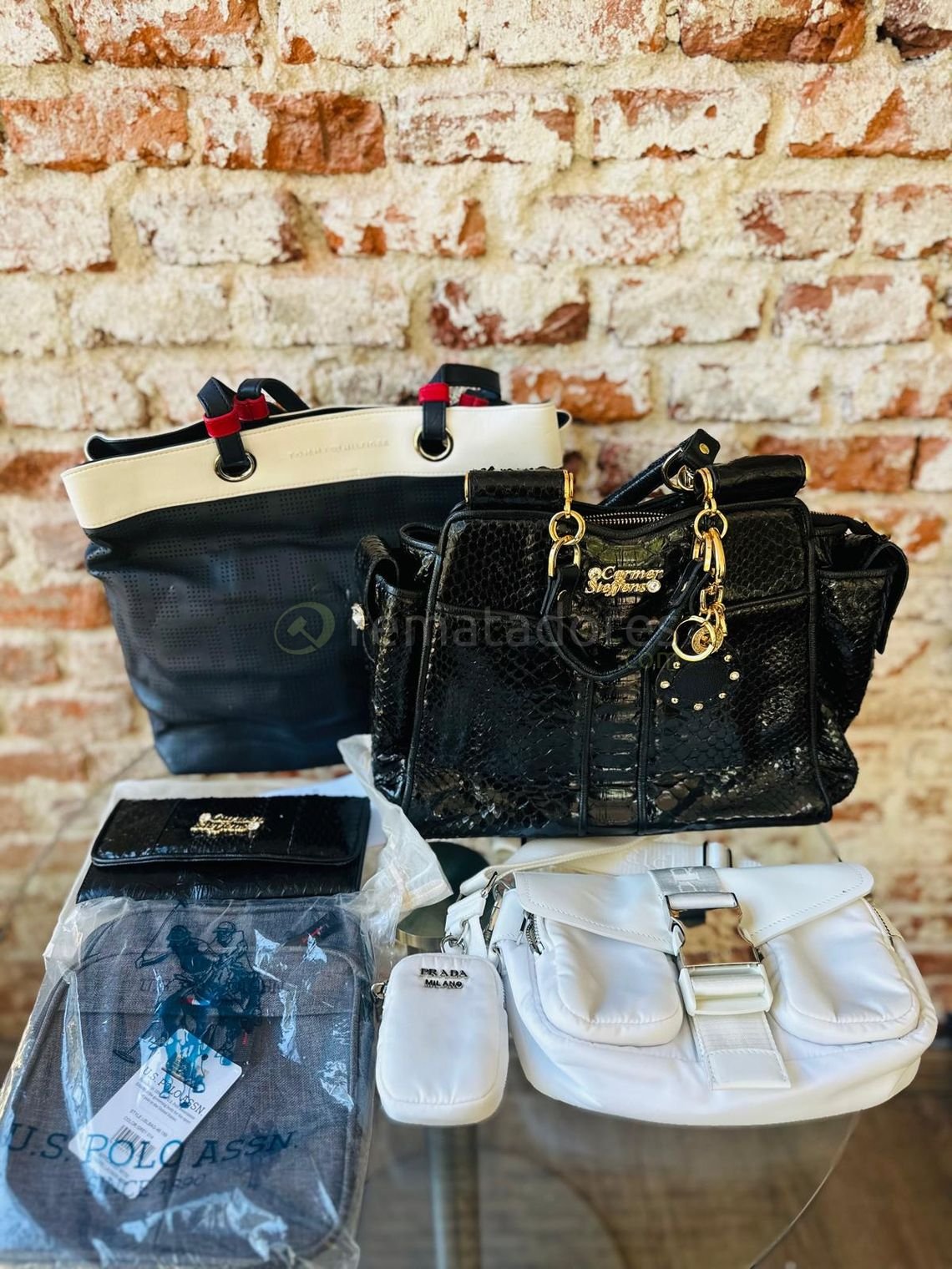 Lote de Carteras y Accesorios de Moda