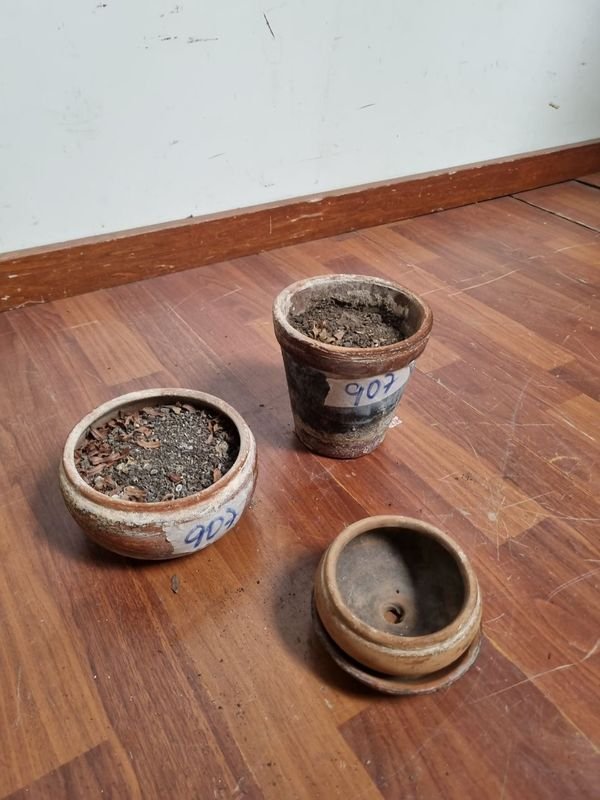 Vajillas y recipientes de barro antiguo - imagen 2