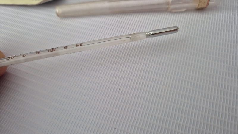 Item 844721 - Image 7