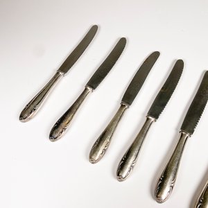 Juego de 8 Cuchillos de Mesa Antiguos "Rostfrei" - imagen 3
