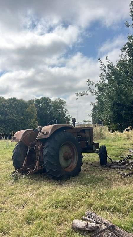 Item 864131 - Image 1