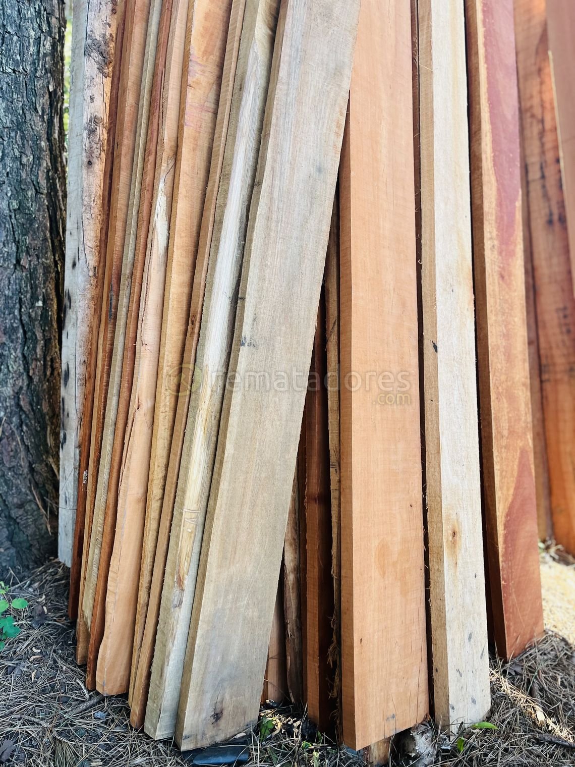Lote de tablas de madera para construcción o proyectos