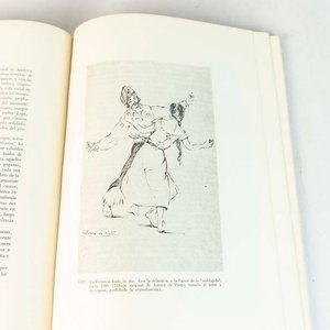 Orígenes de los Bailes Tradicionales en el Uruguay: Libro Ilustrado - imagen 2