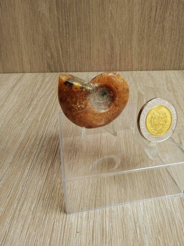 Item 884279 - Image 1