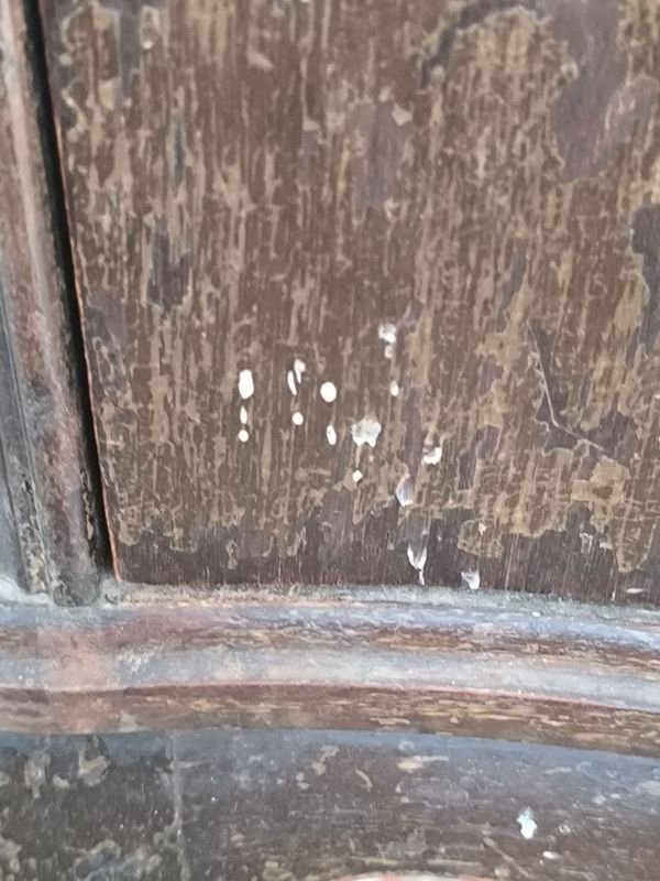 Item 854456 - Image 2