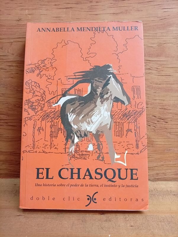 Libro "El Chasque" de Anabella Mendieta Müller - Historia, Tierra y Justicia
