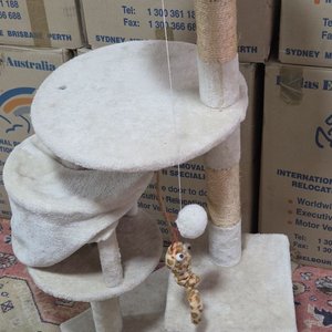 Árbol Rascador para Gatos y Accesorios para Mascotas - imagen 6