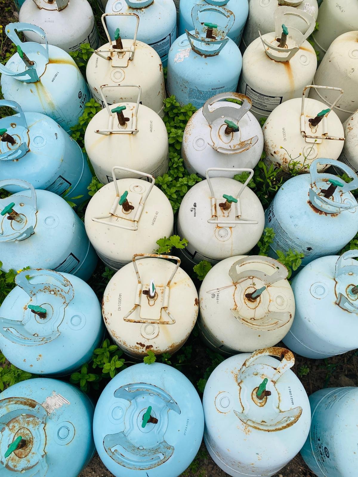 Item lote-x129-garrafas - Image 1