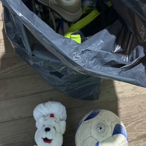 Lote anterior: Peluche de Chef, Pelota de Fútbol y Zapatillas Deportivas