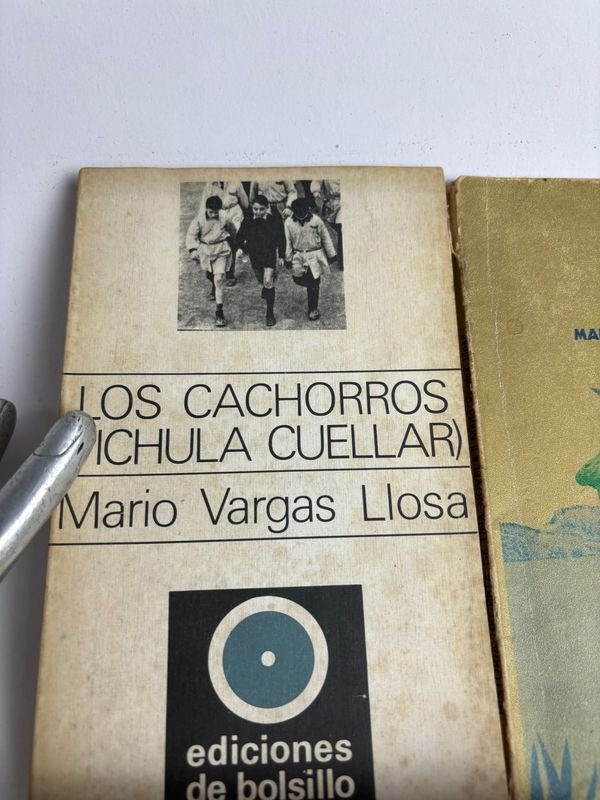 Colección de libros de Mario Vargas Llosa - imagen 5