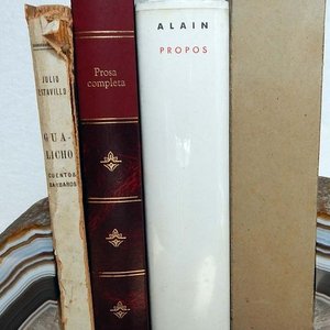 Lote de 3 Libros: Gualicho Cuentos Bárbaros, Poesía Completa de Rimbaud y Alain Propos - imagen 3
