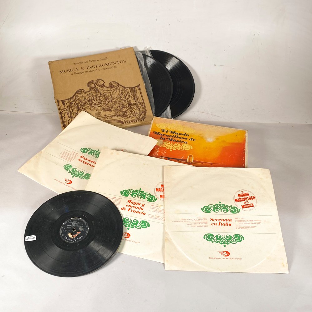Lote de Discos de Vinilo de Música Diversa