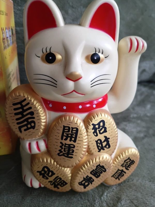 Gato de la Suerte Maneki Neko Blanco con Monedas Doradas