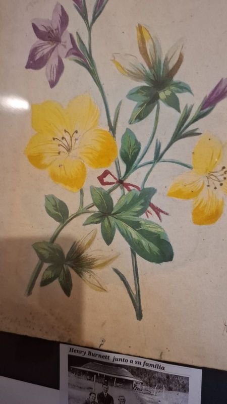 Item 856352 - Image 1