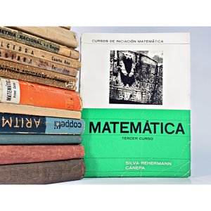 Lote de 15 Libros de Matemática para Secundaria: Copetti, Cánepa, Martín, Cortázar, Infantozzi y más - imagen 3