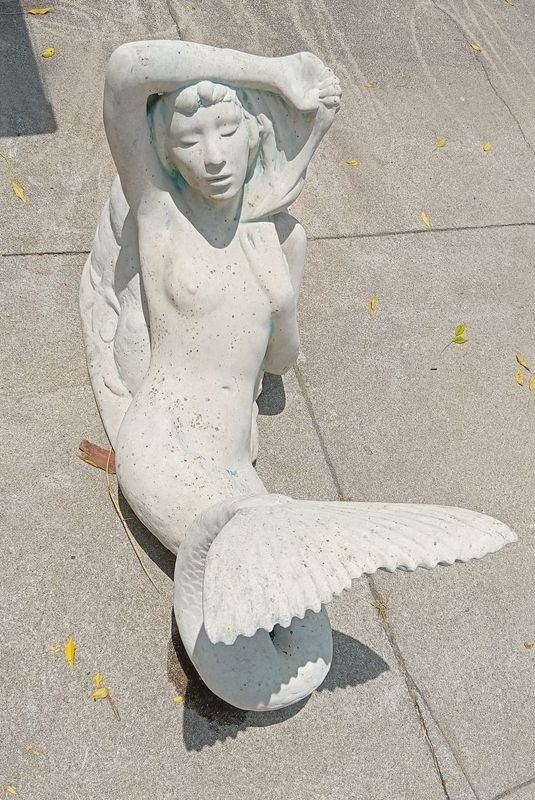 Item 849899 - Image 2