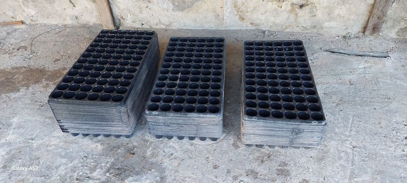 Item 848175 - Image 0