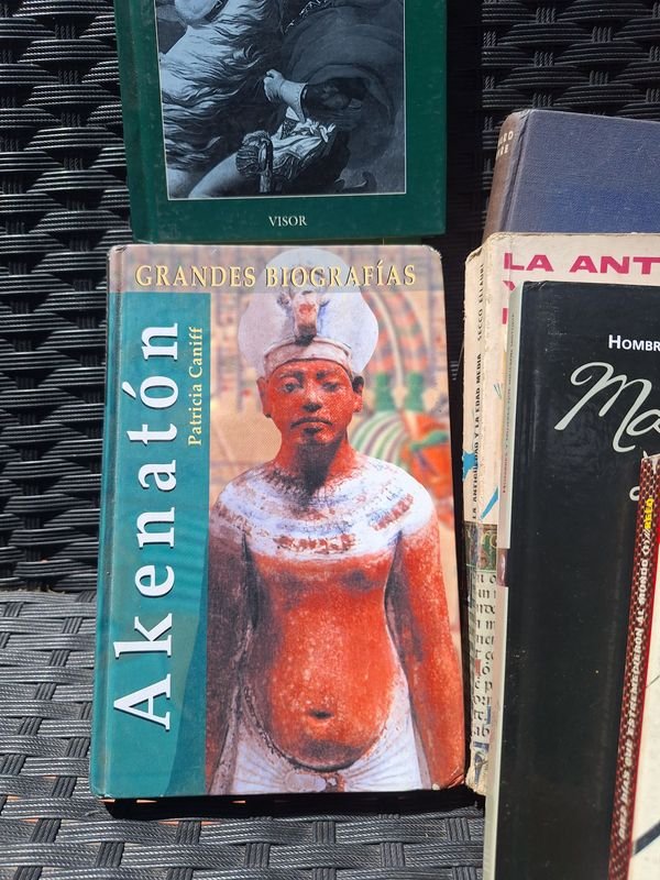 Gran lote de libros de historia universal: Colección de libros antiguos y valiosos - imagen 8