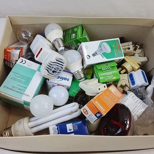 Lote siguiente: Lote de Lamparitas LED, Halógenas, Incandescentes y Adaptadores de Corriente