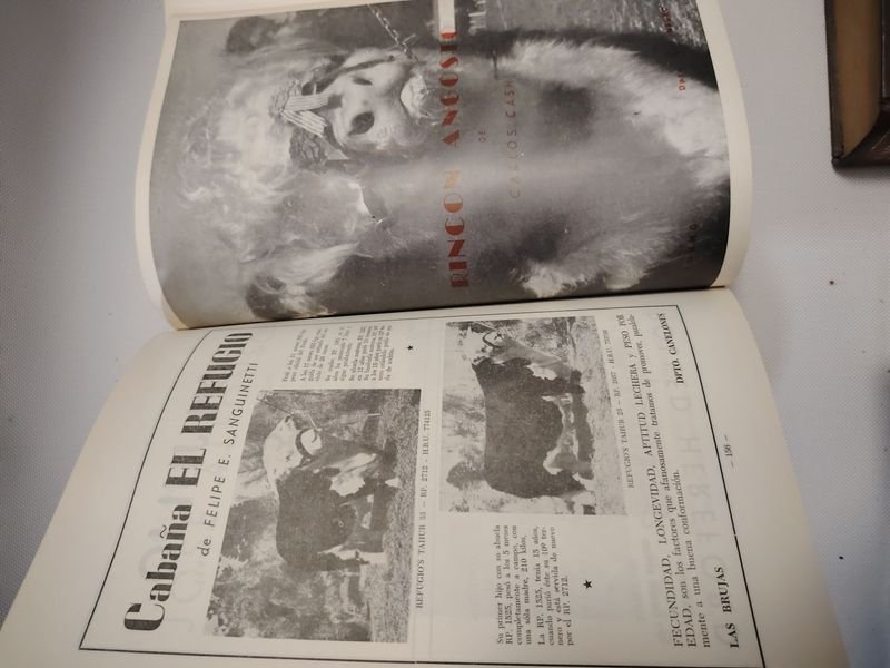 Item 901608 - Image 10