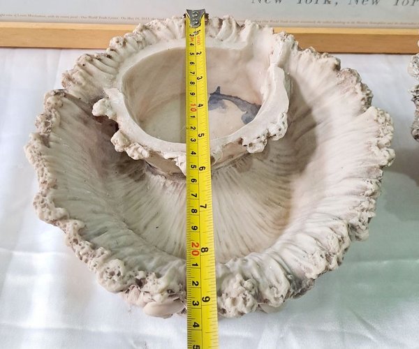 Fuente de agua con fisonomía de coral, decorativa y manual - imagen 4