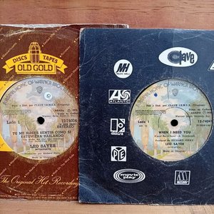 Lote anterior: Dos Discos Simples de Vinilo de Leo Sayer - Industria Uruguaya