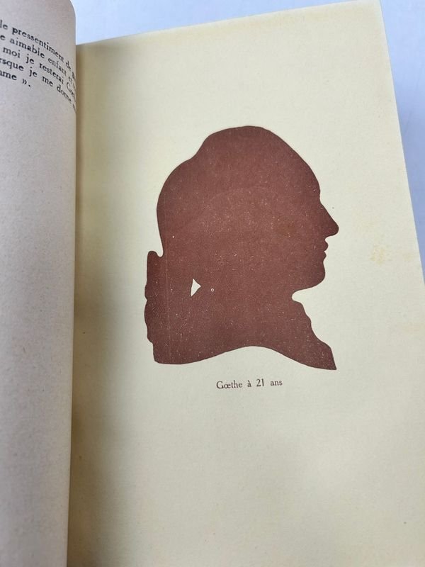 Libros de Goethe, historia de un hombre, 3 tomos, 1929 - imagen 4